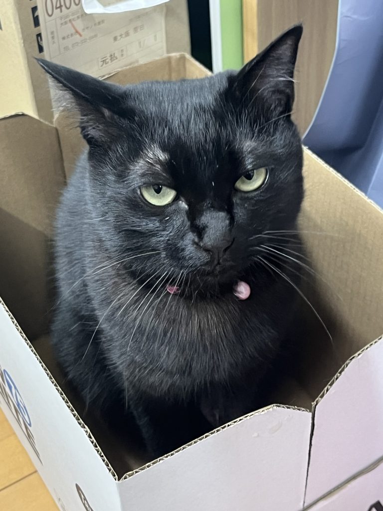 ののの | 専務のつぶやきブログ